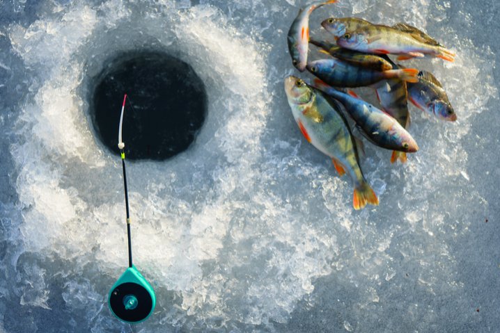 Ice fishing game - Experience the Thrill of Ice Fishing in the UK with Our Latest Game